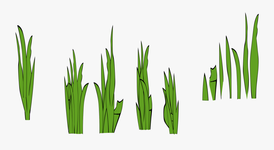 Grass Clip Art Free - Blades Of Grass Drawing, Transparent Clipart