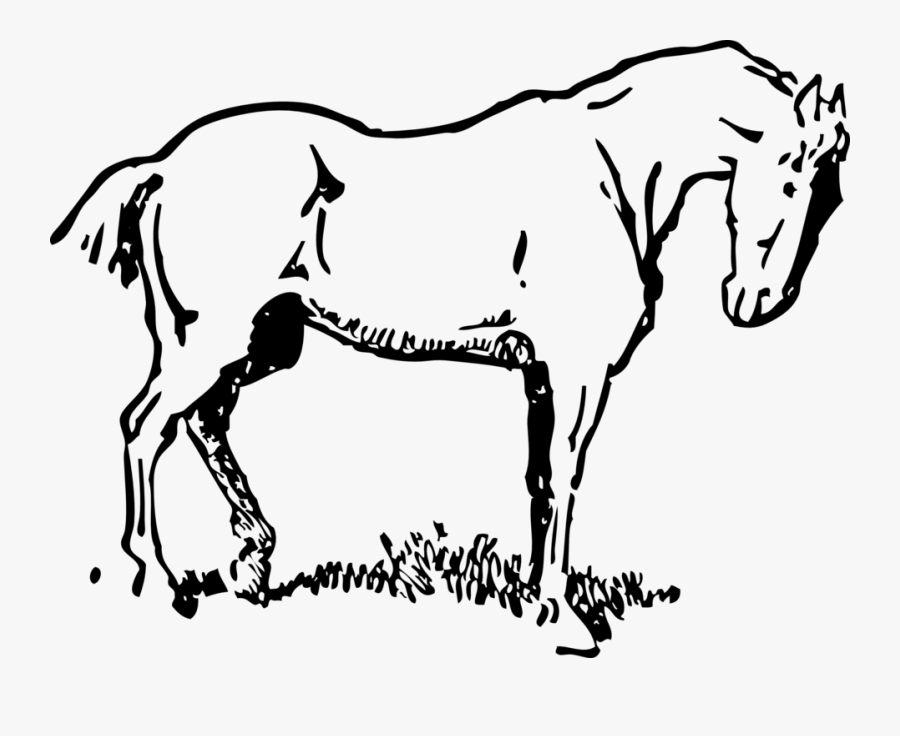 Small-eyed Horse - Small Horse Black And White, Transparent Clipart