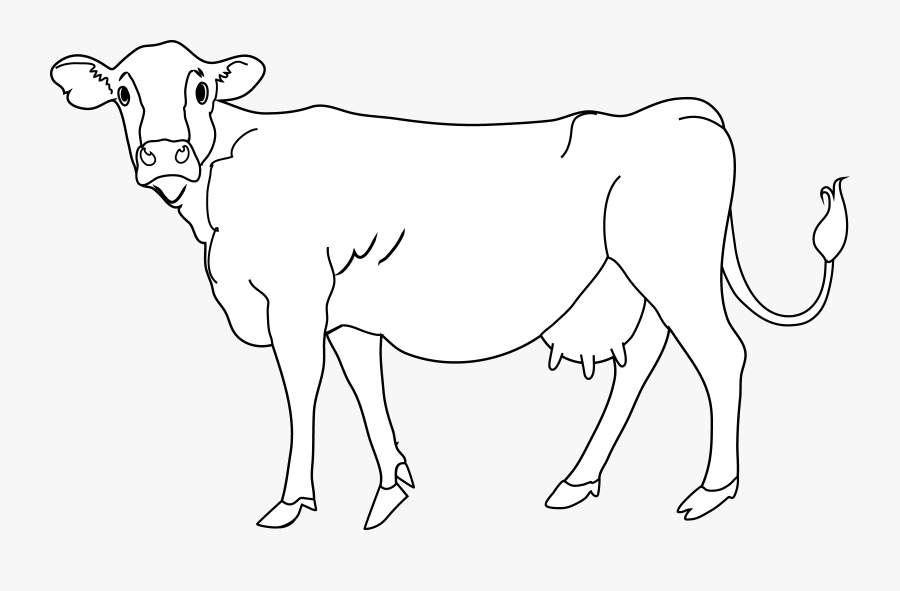 Cow Coloring Page - Clip Art, Transparent Clipart