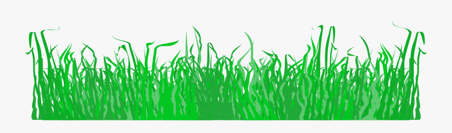 Grass Clipart Pdf - Long Grass Icon, Transparent Clipart