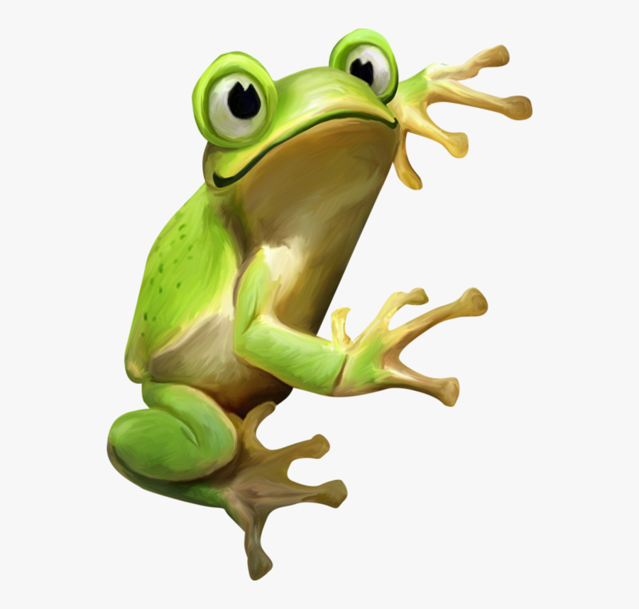 Red Eyed Tree Frog Clipart - Green Frog Png, Transparent Clipart