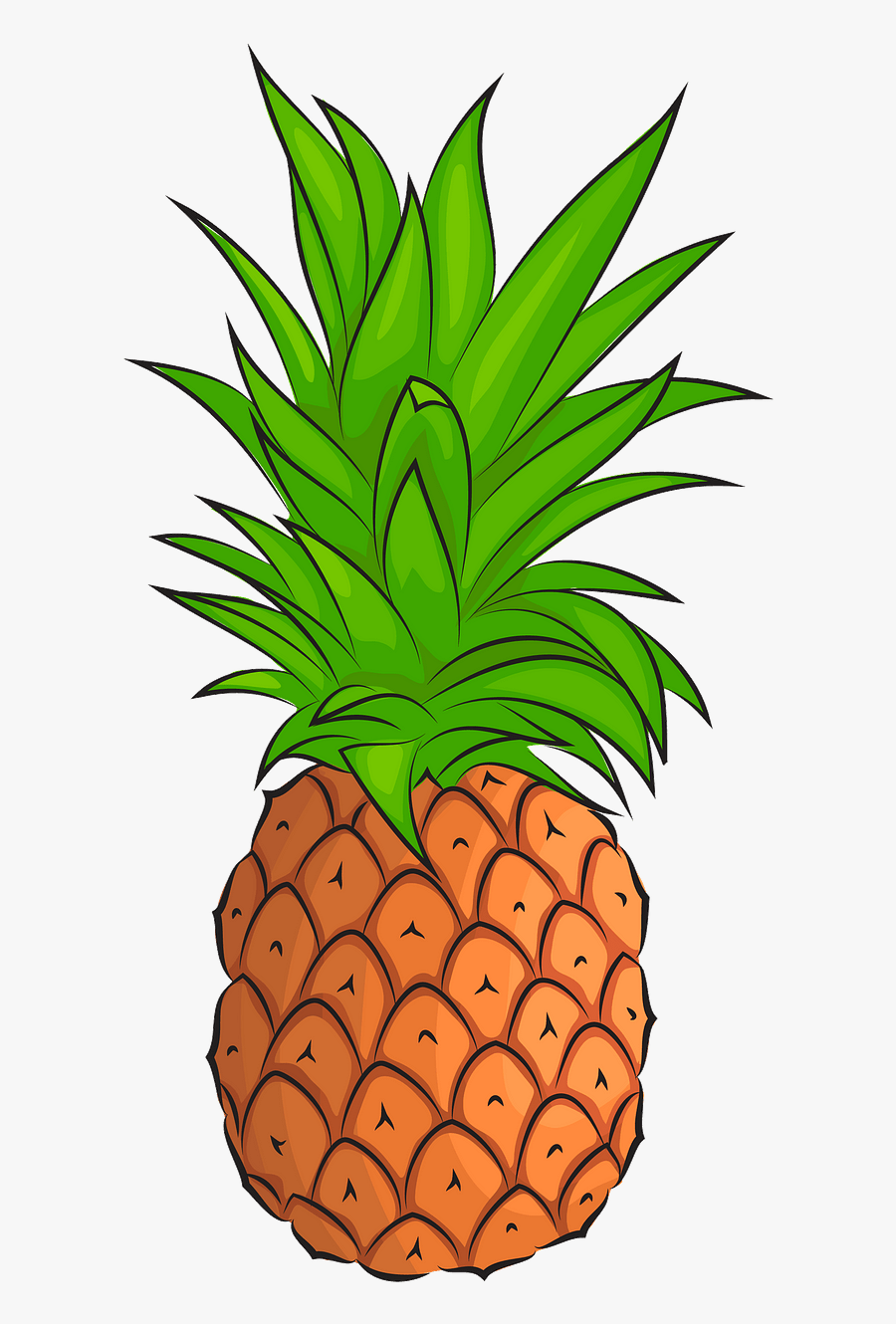 Pineapple Cut In Half, Transparent Clipart