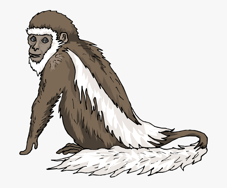 Old Monkey Clipart, Transparent Clipart