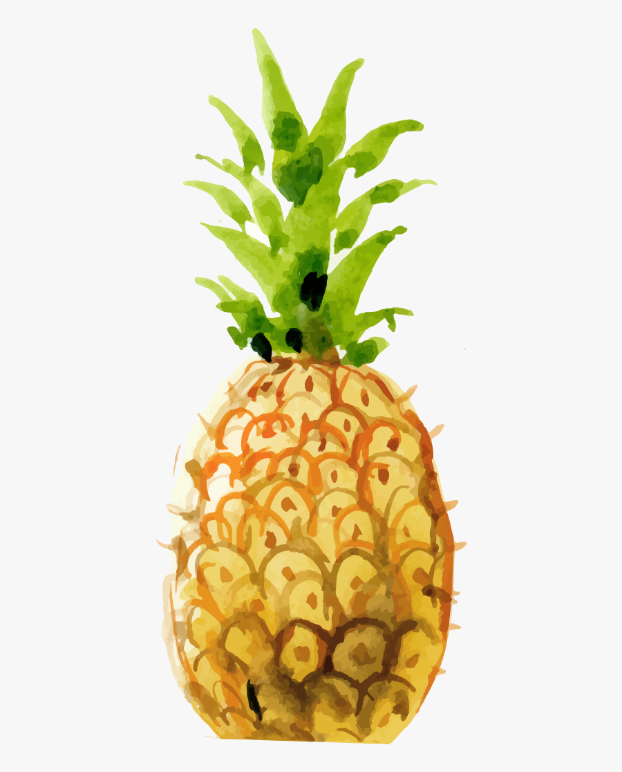 Clip Art Pineapple Bush - Pineapple, Transparent Clipart
