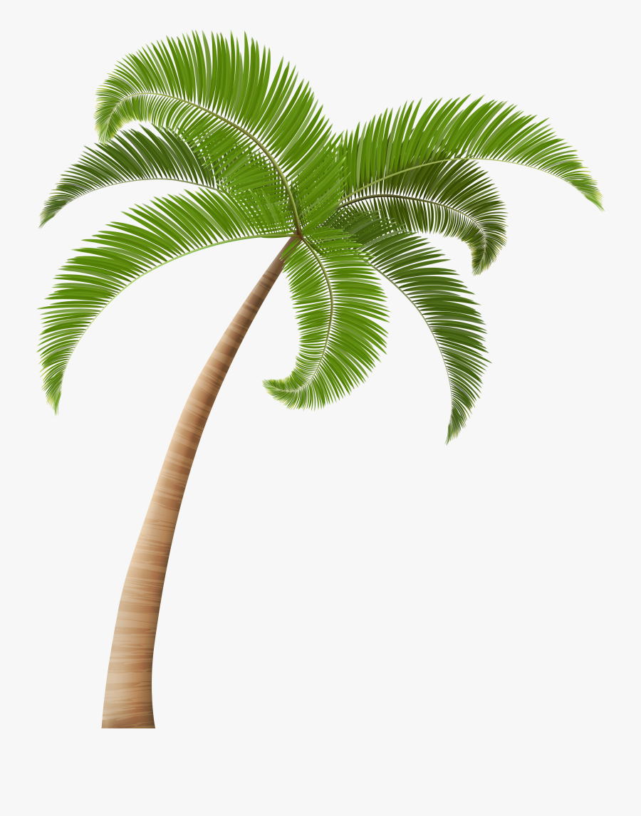 Png Clip Art Image - Transparent Background Palm Tree Png, Transparent Clipart