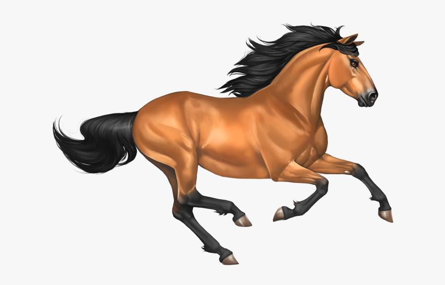Transparent Horse Png - Transparent Background Horse Clipart, Transparent Clipart