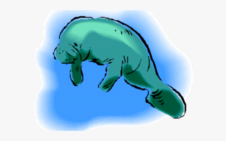 Sea Cow Clipart , Png Download - Sea Cow, Transparent Clipart