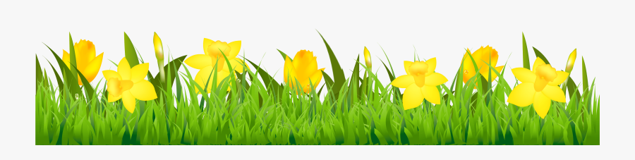 Grass Clipart Png Picture - Vector Graphics, Transparent Clipart