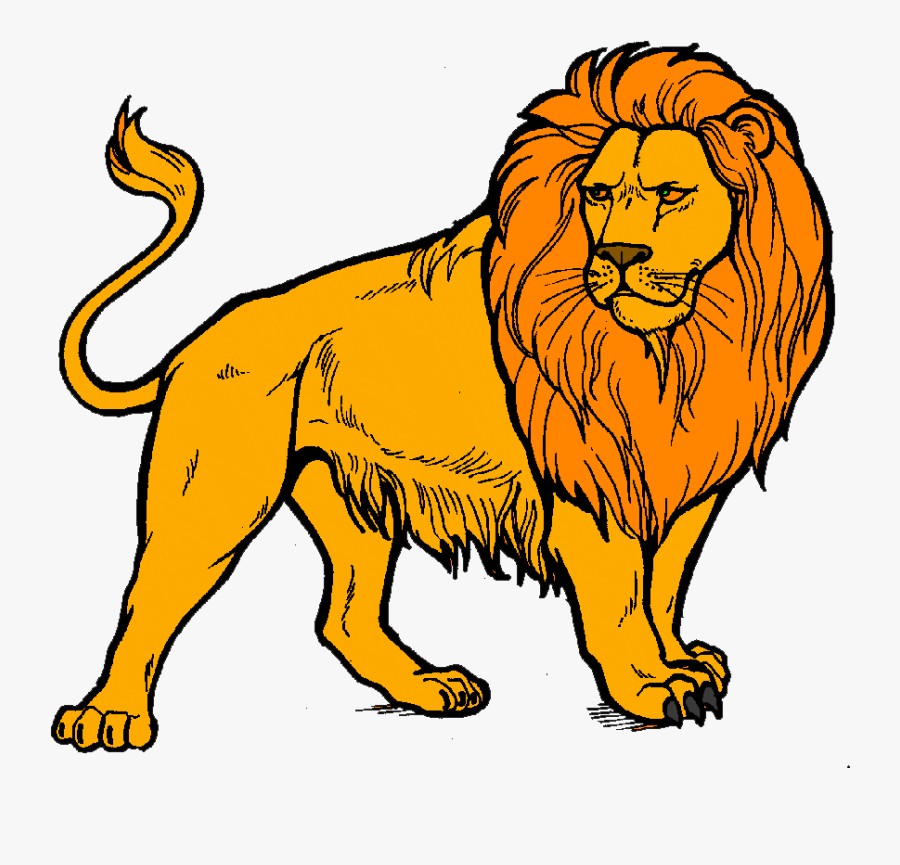 Lions Coloring Pages Realistic, Transparent Clipart