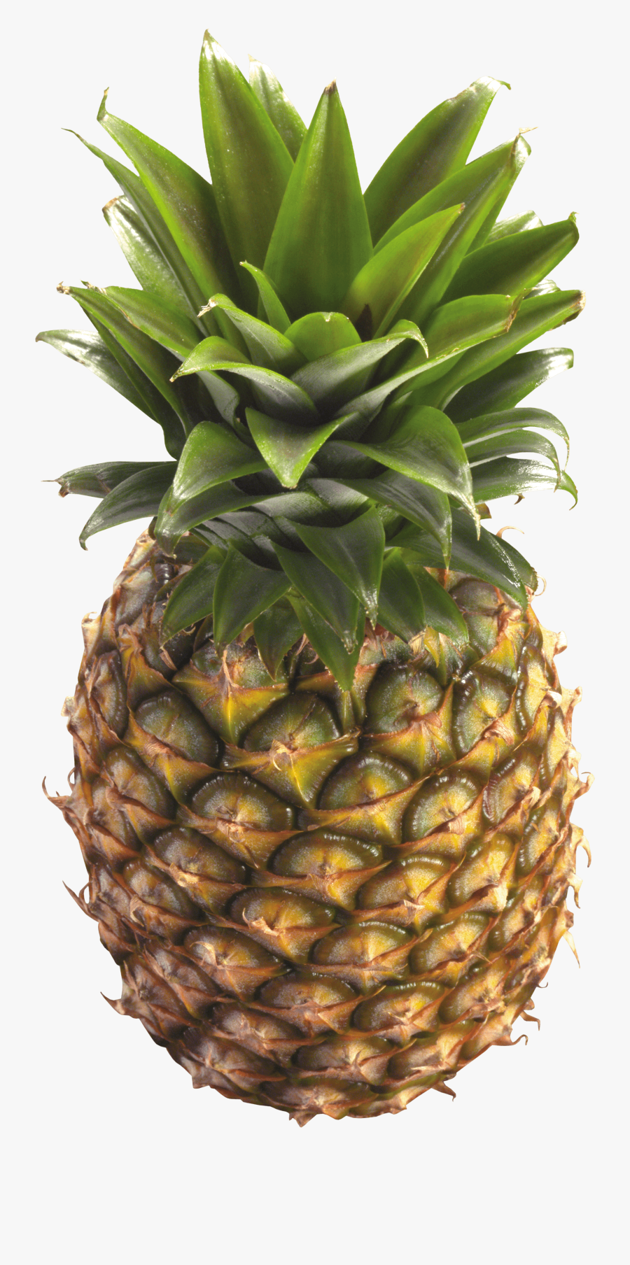 Thumb Image - Transparent Background Image Of Pineapple, Transparent Clipart