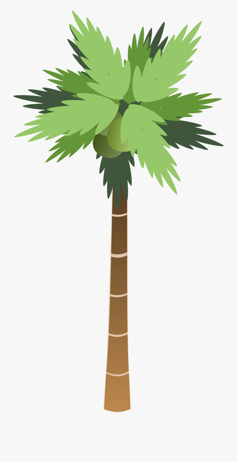 Palm Tree Vector Clipart - Ascending And Descending Numbers, Transparent Clipart