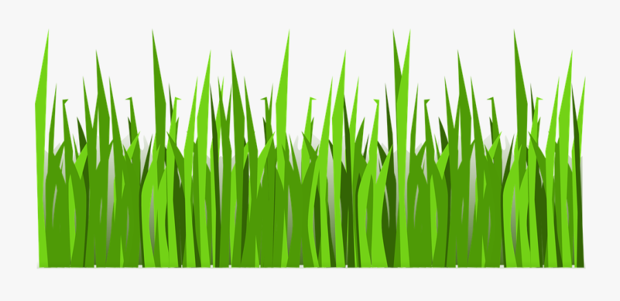 Transparent Free Grass Clipart - Vector Transparent Grass Png, Transparent Clipart