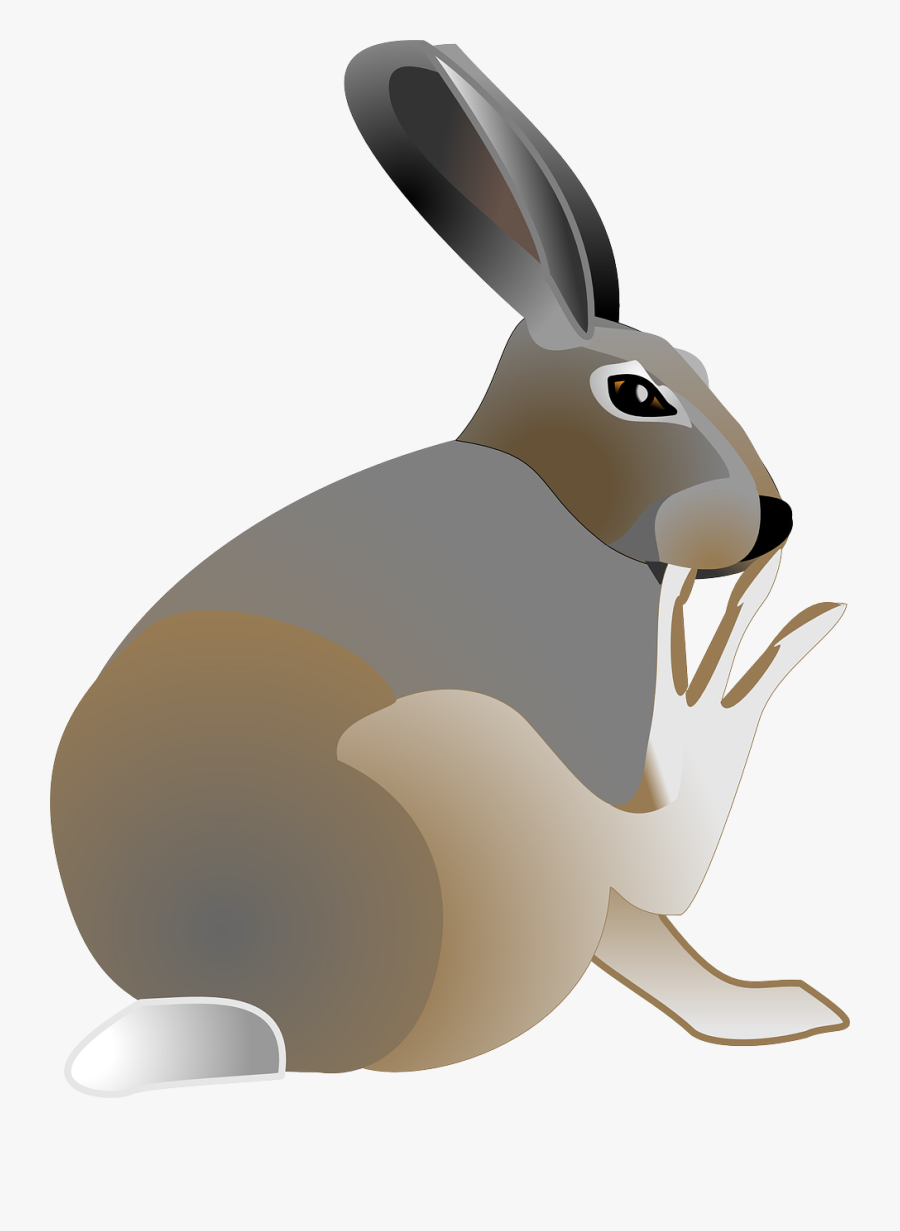 Free Easter Clipart - Clip Art Jack Rabbit, Transparent Clipart