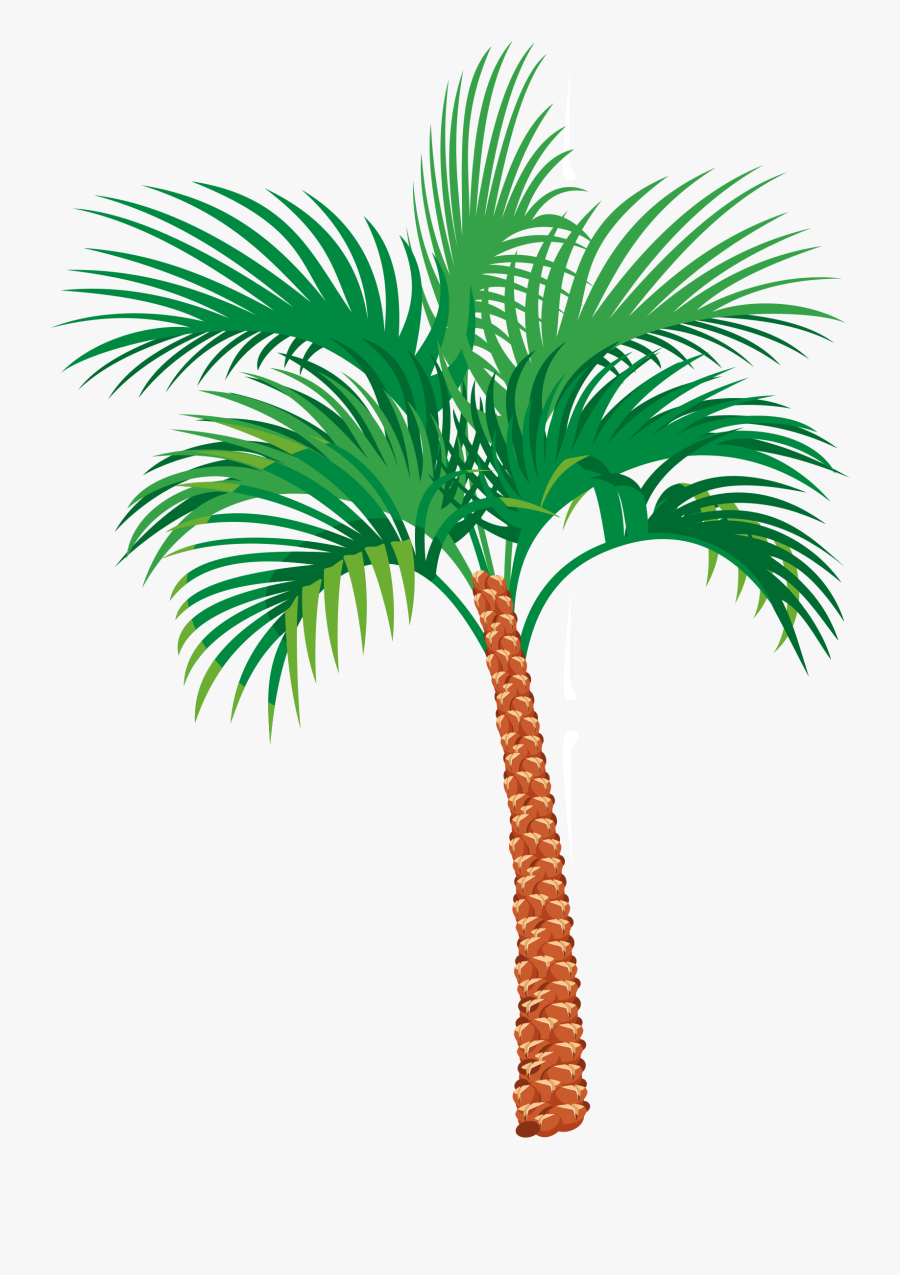 Palm Tree - Palm Tree Png Gif, Transparent Clipart