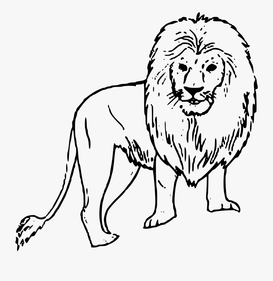 Free Lion Clipart Clip Art Pictures Graphics Illustrations - Lion Pic Black And White, Transparent Clipart