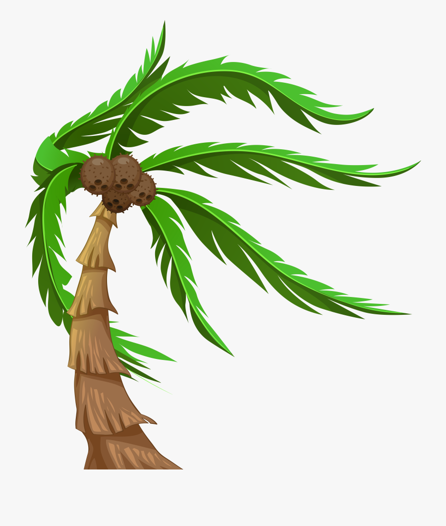 Palm With Coconuts Transparent Png Clip Art Image - Coconut Trees Clipart Png, Transparent Clipart