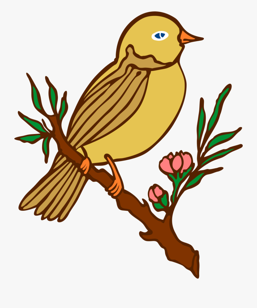 Featured image of post Birds Drawing For Colouring Learn how to draw bird pictures using these outlines or print just for coloring