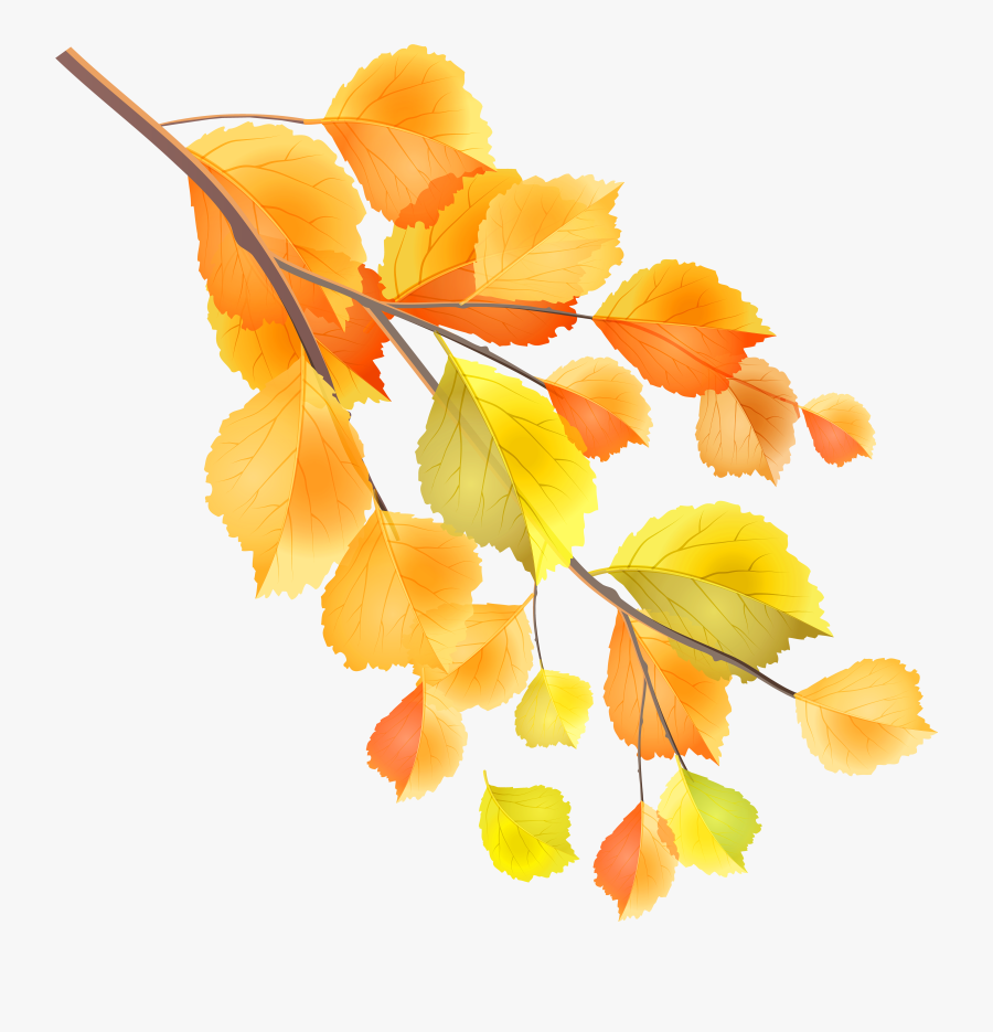 Fall Clipart Branch - Fall Branches Clip Art Png, Transparent Clipart
