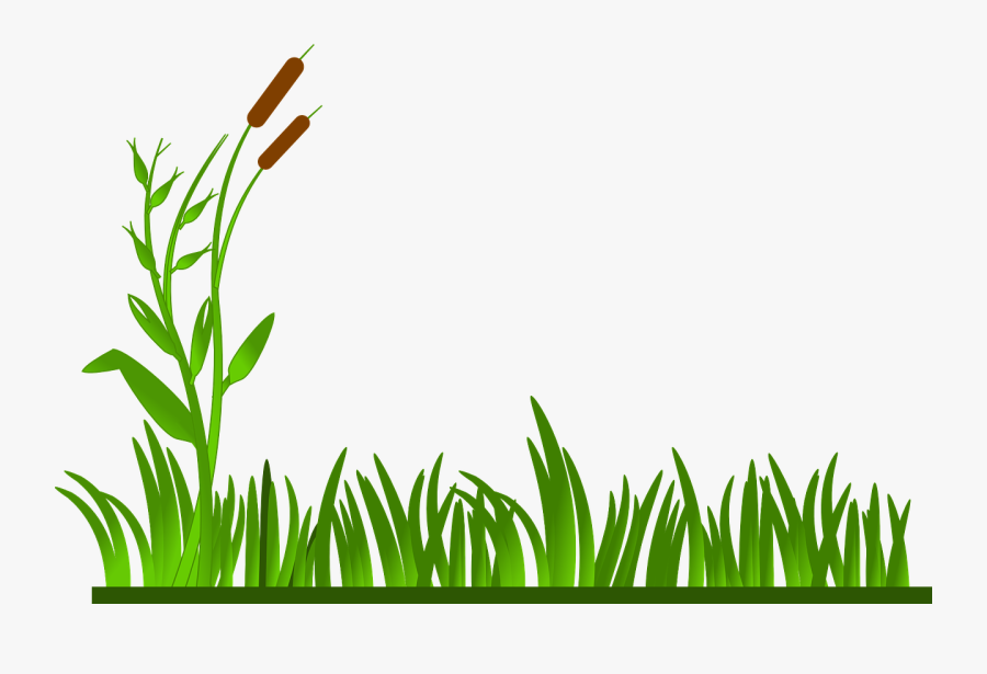 Grass Clipart Pond - Grass Border Clipart, Transparent Clipart