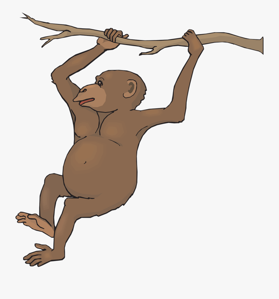 Monkey Clip Art & Images Free For Commercial Use Page - Black Spider Monkey Transparent, Transparent Clipart