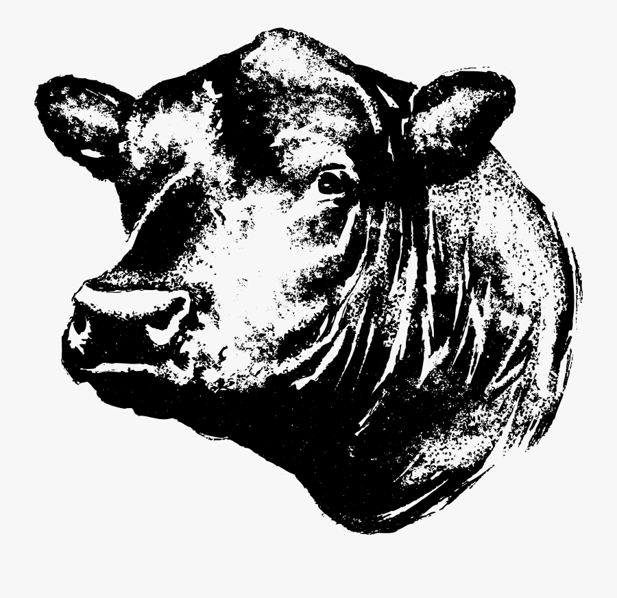 28 Collection Of Black Angus Cow Clipart, Transparent Clipart