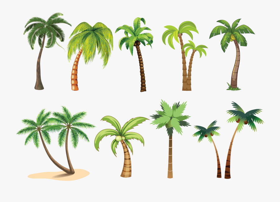 Transparent Palm Trees Clip Art - Palm Tree Clip Art, Transparent Clipart