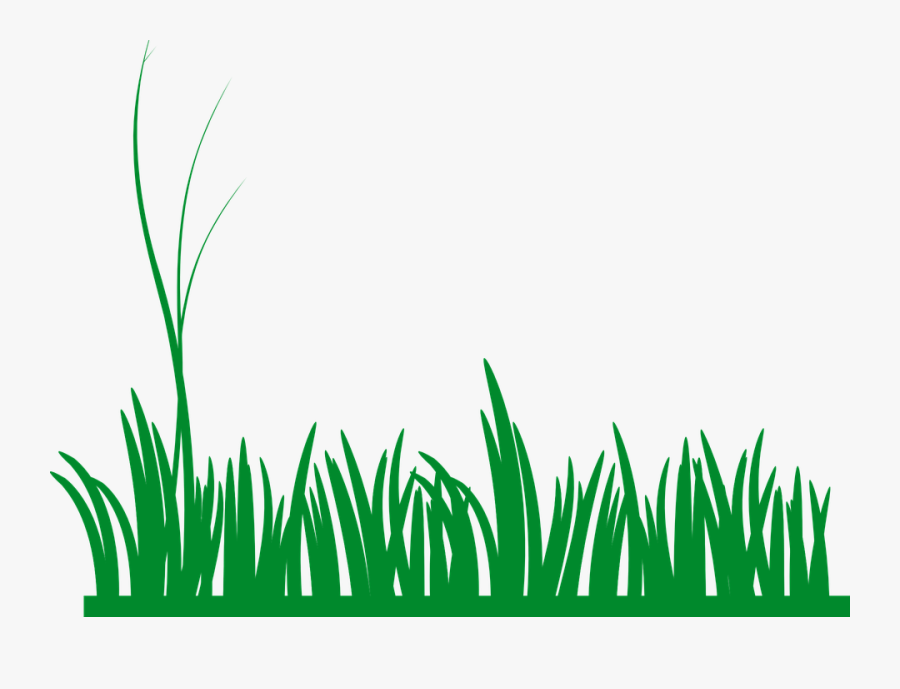 Grass, Lawn, Green, Nature, Meadow, Field, Growth - Grass Clip Art, Transparent Clipart