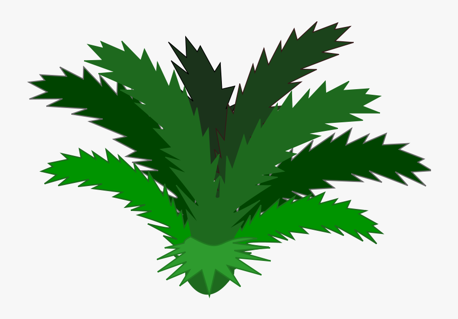 Palm Tree Cartoons Free Download Clip Art Free Clip - Free Plant Clipart Transparent Background, Transparent Clipart