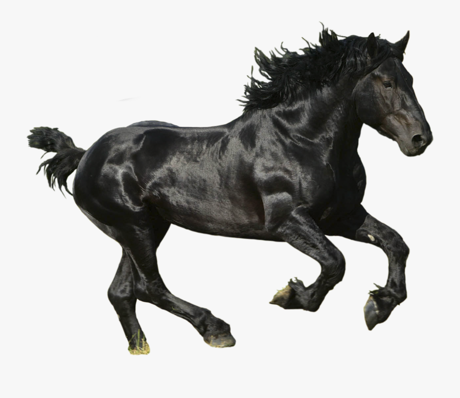 Black Horse Clipart - Lil Nas X Old Town Road, Transparent Clipart