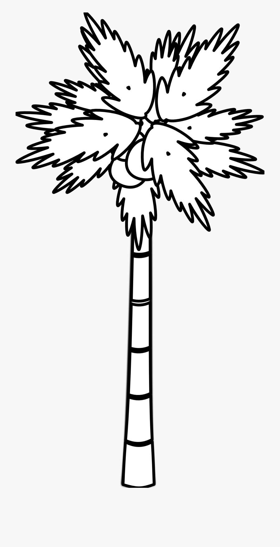 And Black Drawing Palm Tree White, Transparent Clipart