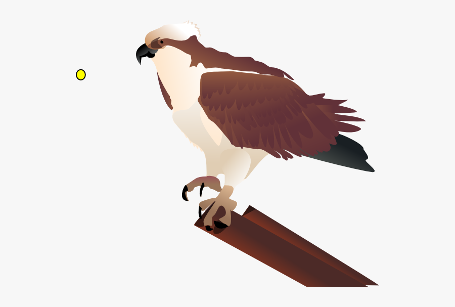 Bird Clipart - Free Osprey Clip Art, Transparent Clipart