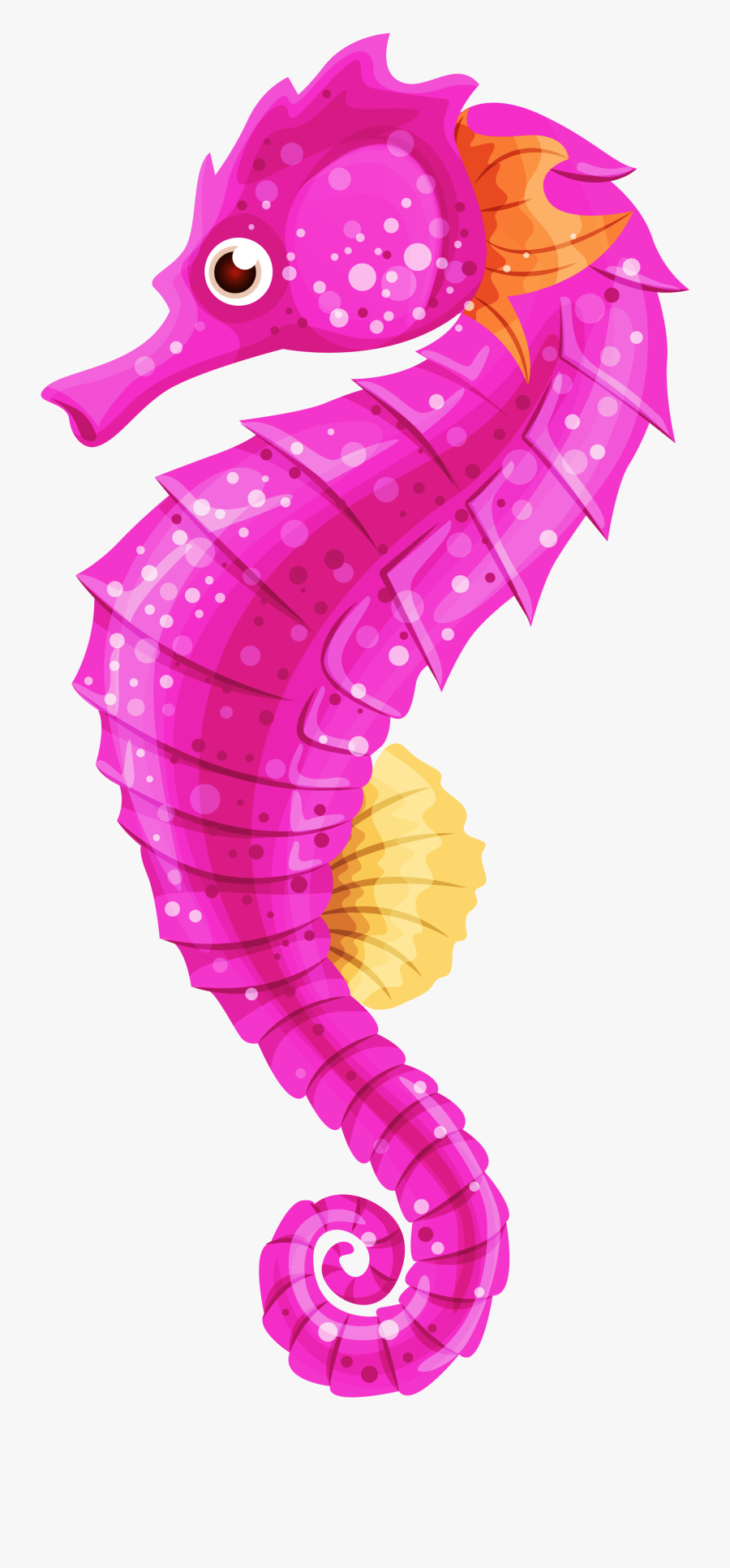 Clip Art Sea Horse Clipart - Transparent Background Seahorse Clipart, Transparent Clipart