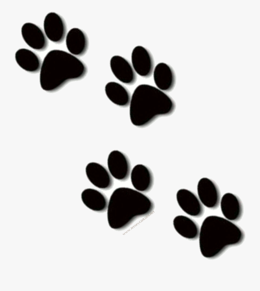Paw Print Prints Lion Clipart Transparent Png - Transparent Paw Print Clip Art, Transparent Clipart