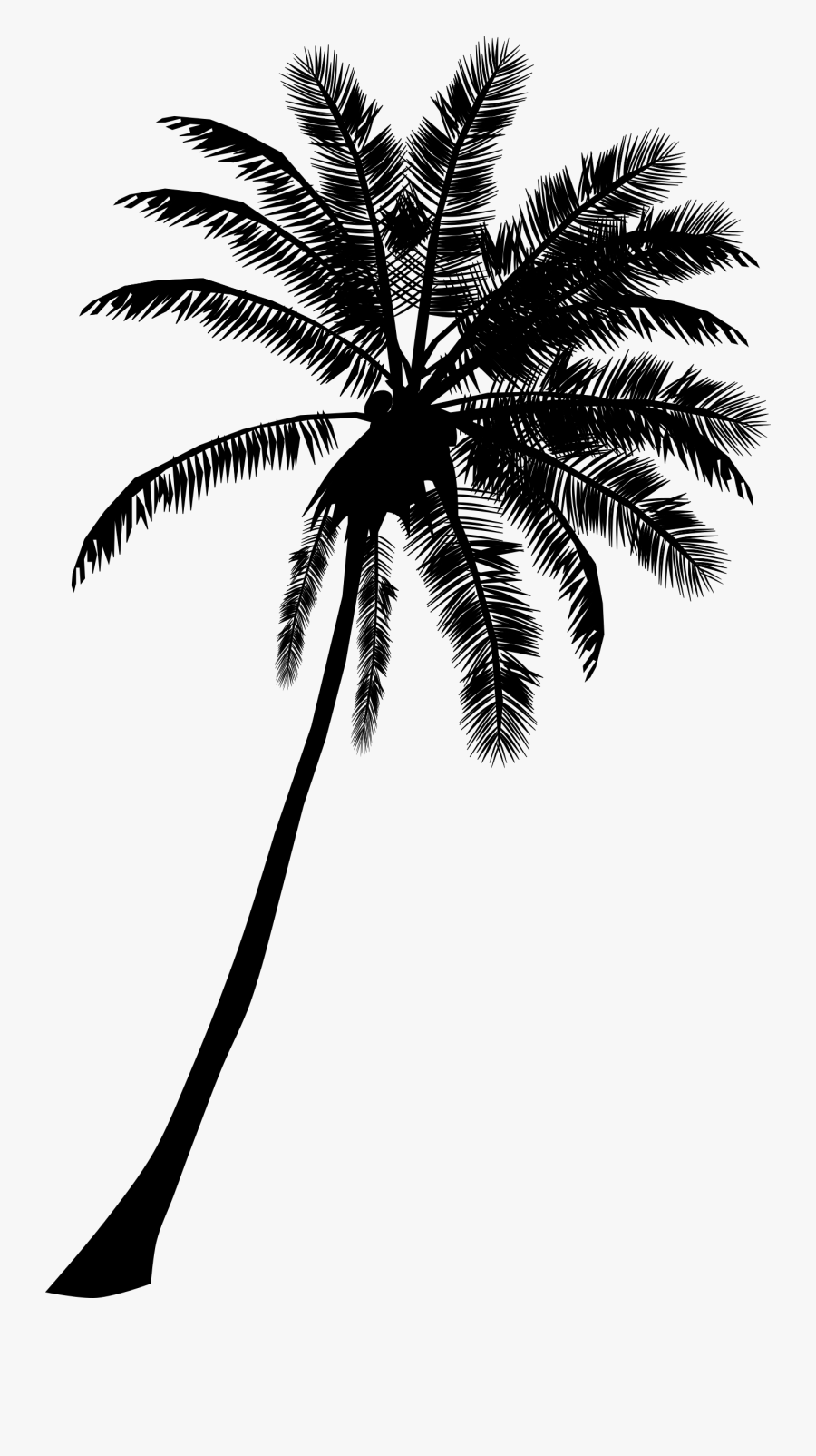 Palm Tree - Black Palm Tree Png, Transparent Clipart
