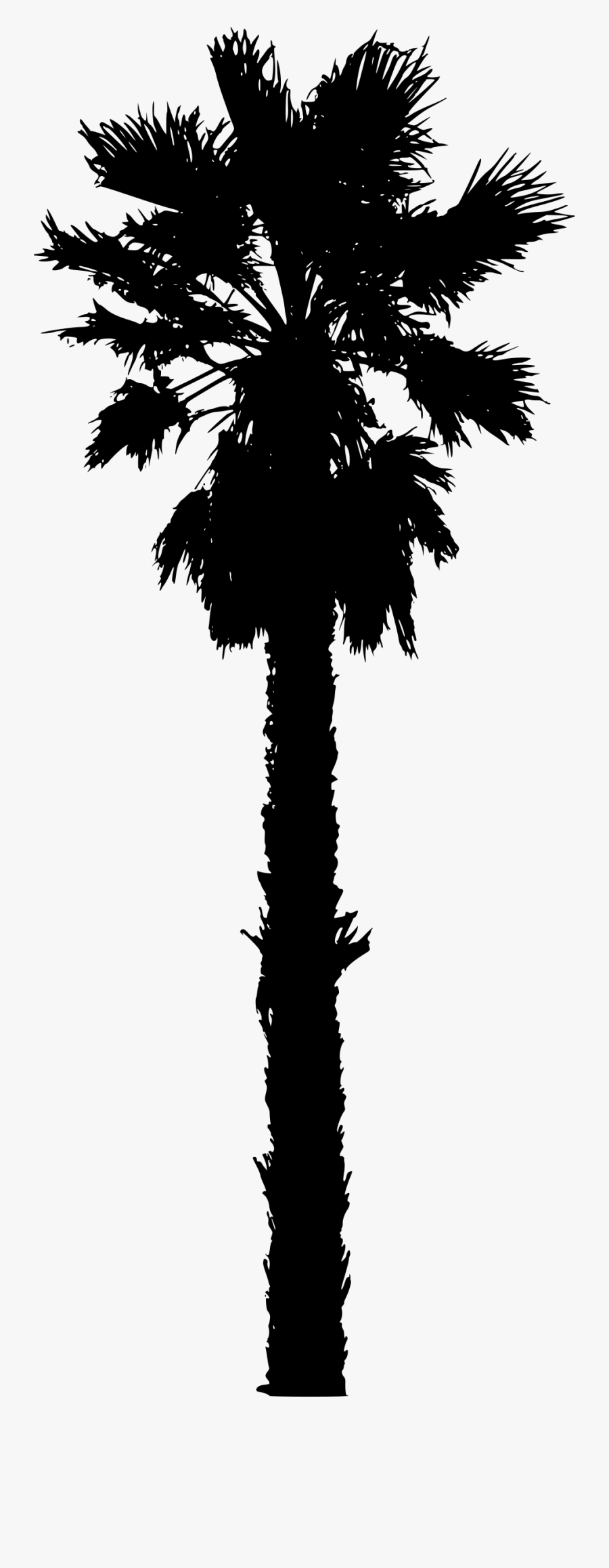 15 Vector California Palm Tree For Free Download On - California Palm Tree Vector, Transparent Clipart