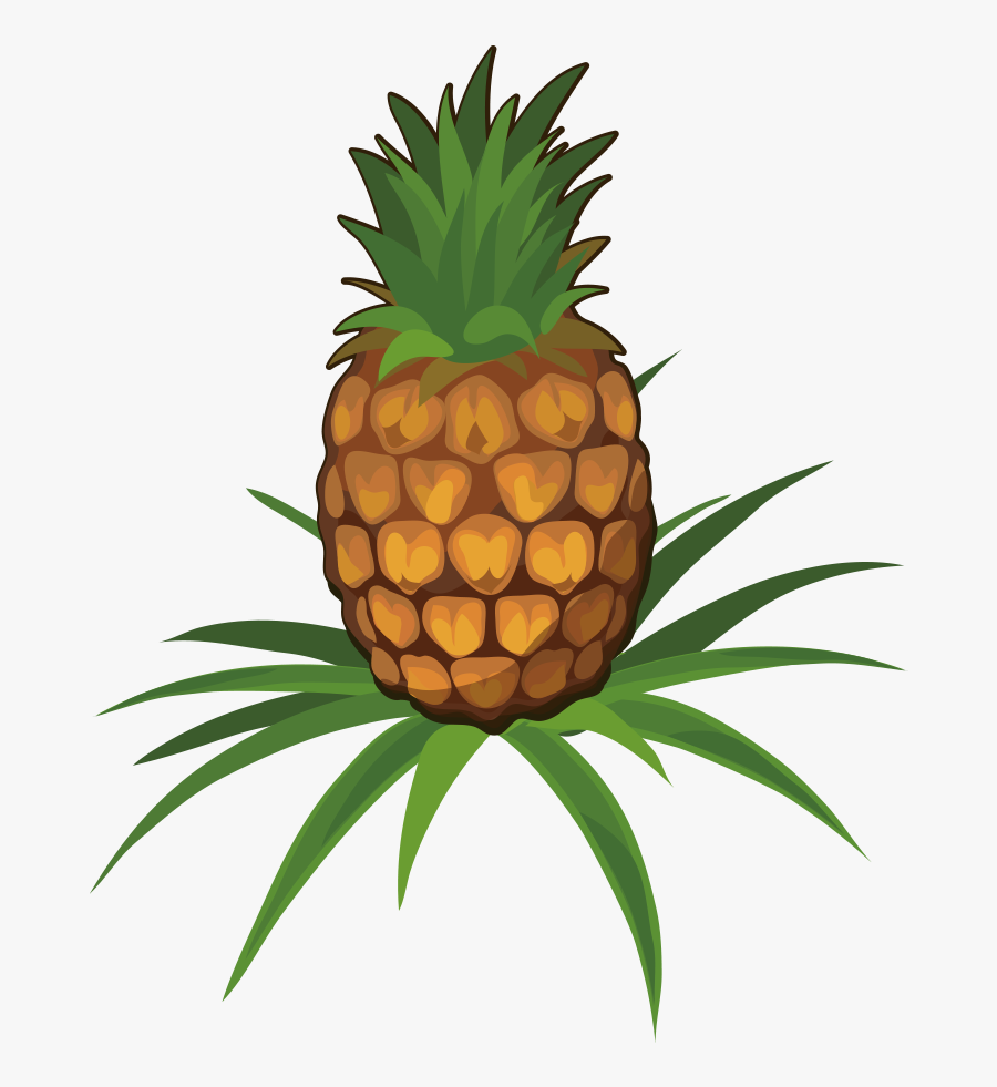 Transparent Pineapple Clipart Black And White - Pineapple On Plant Png, Transparent Clipart