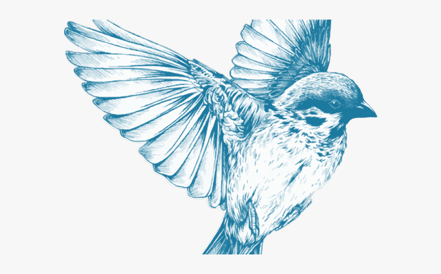 Bird Tattoo Designs, Transparent Clipart
