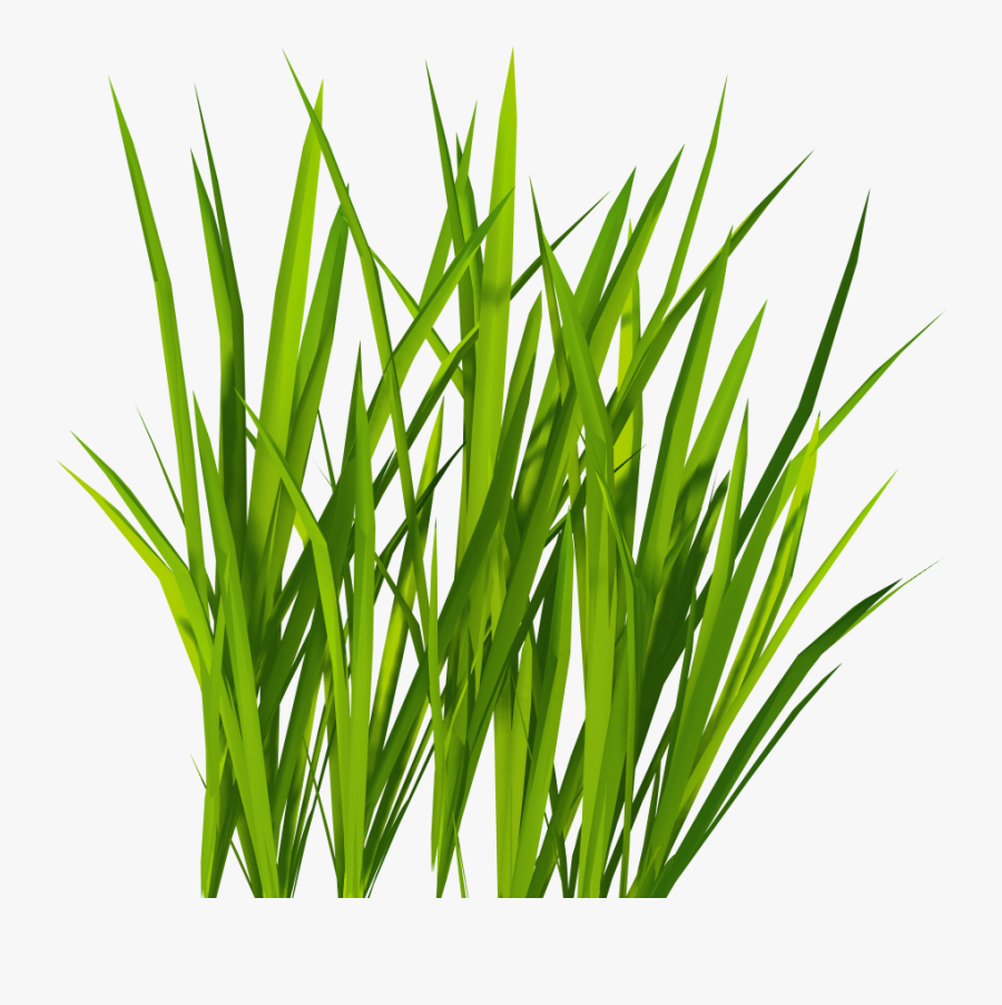 Clip Art Images Pictures Image Green - Transparent Grass Clip Art, Transparent Clipart