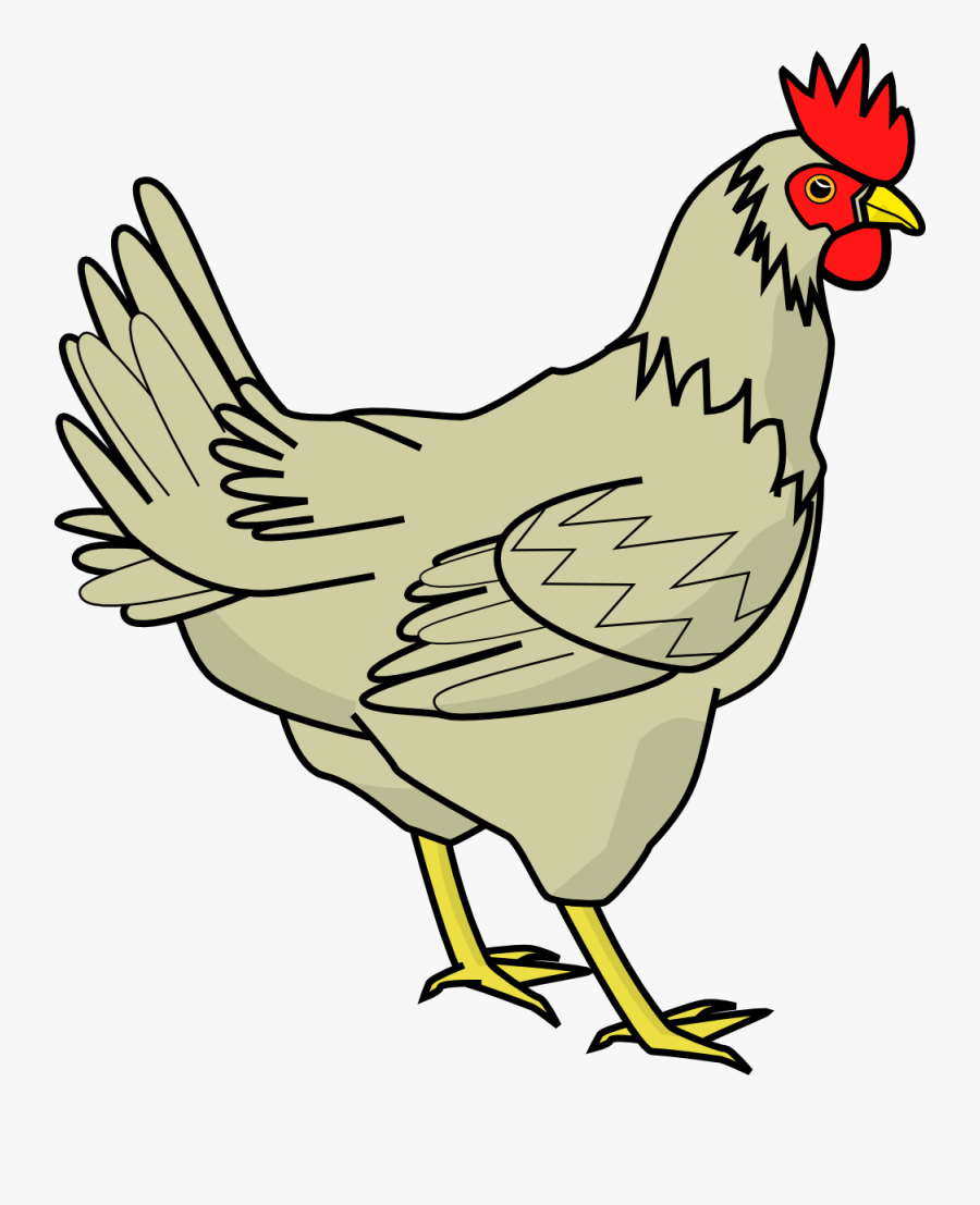 Chicken - Chicken Clipart, Transparent Clipart