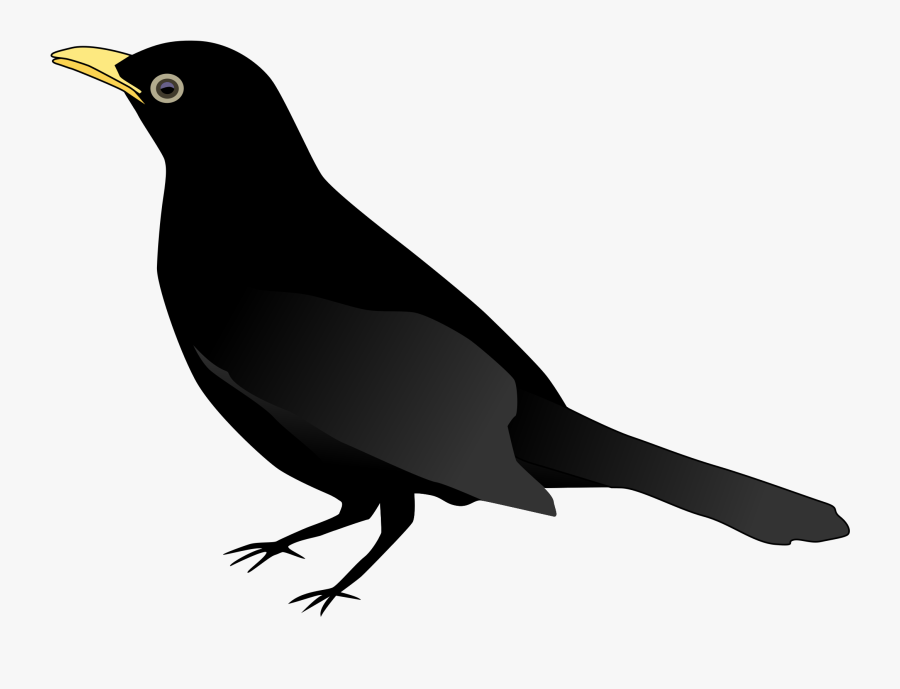 Free Bird Clipart Clip Art Pictures Graphics Illustrations - Black Bird Coloring Pages, Transparent Clipart