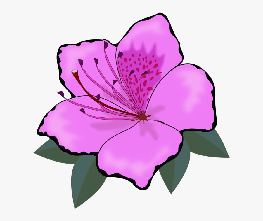 Clip Art, Flor, Flora, Flores, Flower, Nature, Plant - Orange Flower Clipart, Transparent Clipart