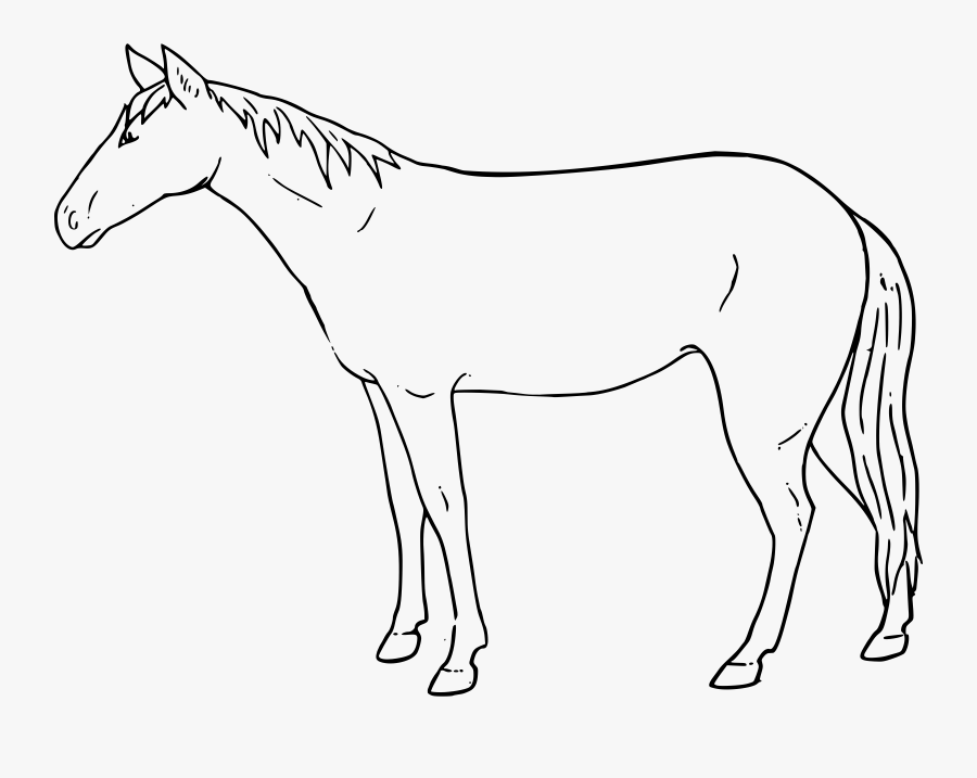 Wild Horse Clipart - Standing Horse Drawing Easy, Transparent Clipart