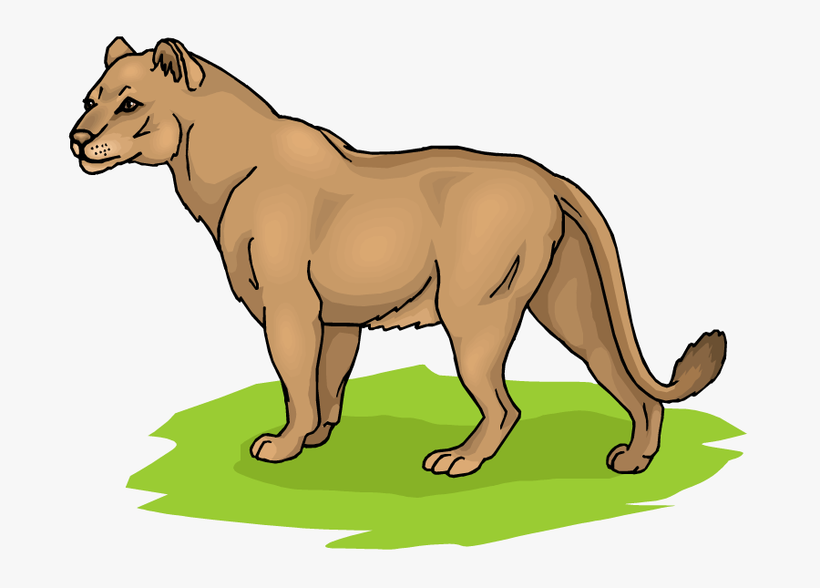 Lion Clipart, Transparent Clipart