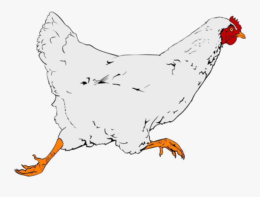 Chicken Clip Art, Transparent Clipart