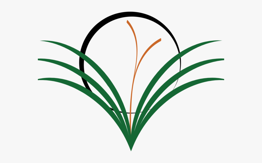 Weed Grass Cliparts - Clip Art, Transparent Clipart