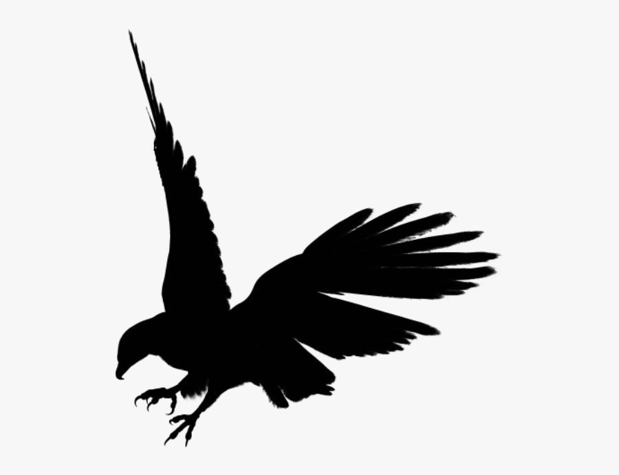 Free Birds Download Clip - Black Eagle Transparent Background, Transparent Clipart