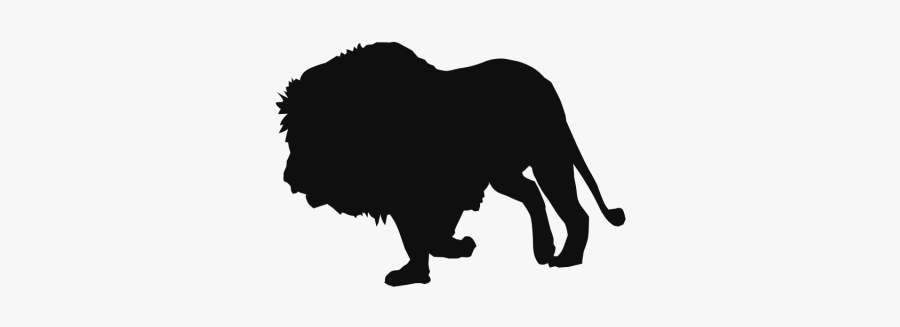 Lion Walking Wild Animals Clipart Background - Portable Network Graphics, Transparent Clipart