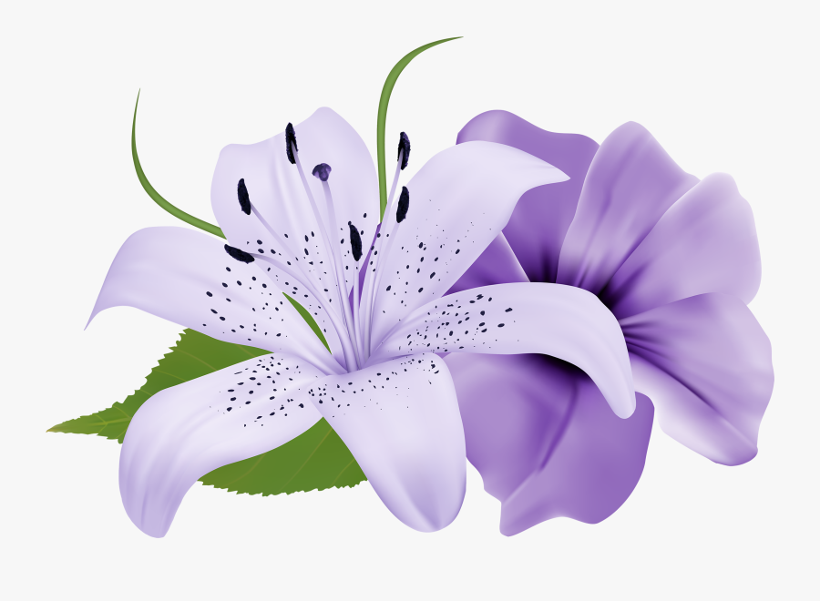 Purple Deco Flowers Png Clipart - White And Purple Flowers Clipart, Transparent Clipart