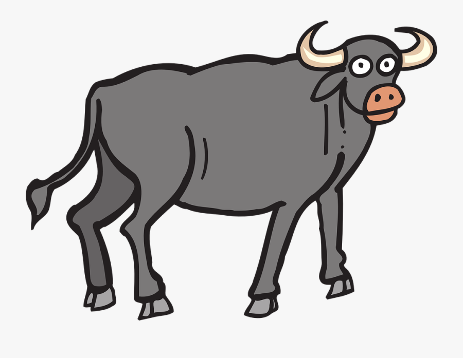 Cattle Clipart Carabao - Ox Clipart, Transparent Clipart