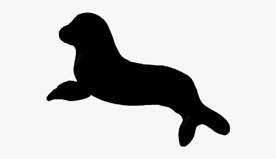 Transparent Sea Lion Clipart - California Sea Lion, Transparent Clipart